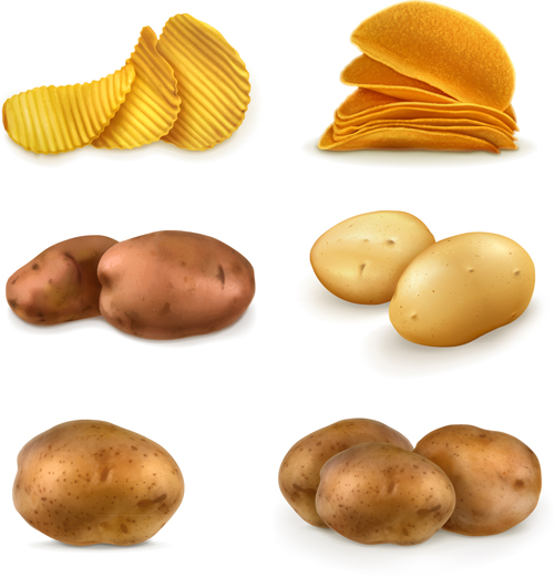 Potatoes And Potato Chips Vector Graphics Free Download 500x521 Potatoes And Potato Chips Vector Graphics Free Download