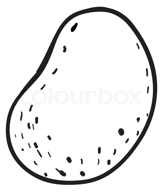 Sketch Of A Potato Stock Vector Colourbox 682x800 Sketch Of A Potato Stock Vector Colourbox