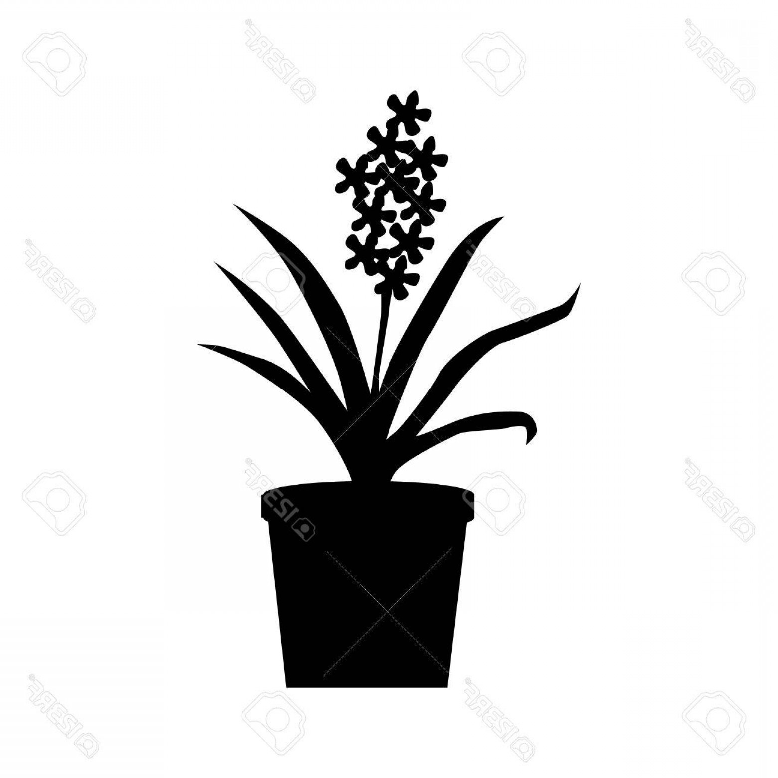 1560x1560 Photostock Vector Potted Plants Silhouette Isolated On White