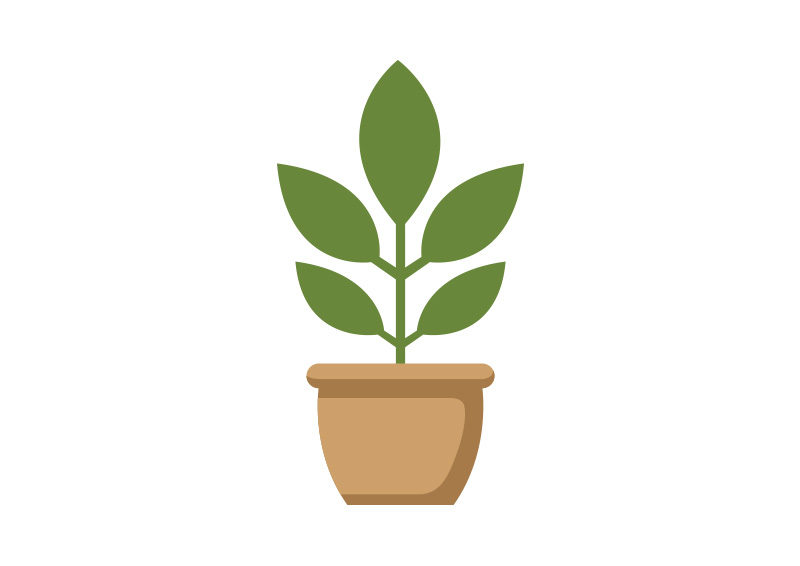 800x566 Potted Plant Flat Vector