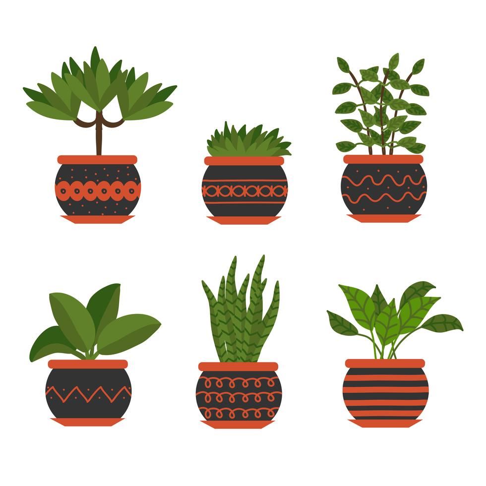 980x980 Potted Plant Vector Holiday Cards In Plant Vector, Plants