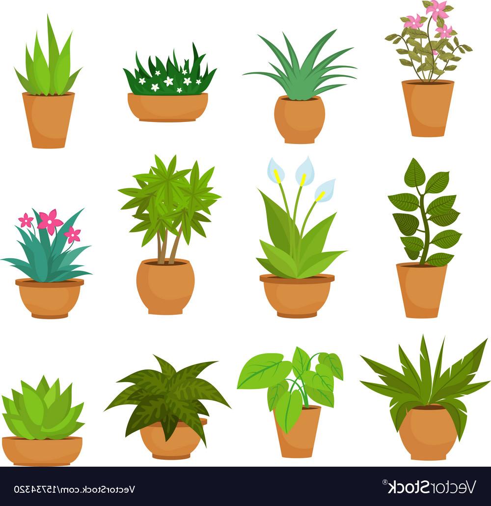 Potted Plant Vector at Vectorified.com | Collection of Potted Plant