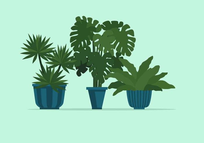 700x490 Potted Plant Vector Illustration Free Graphics