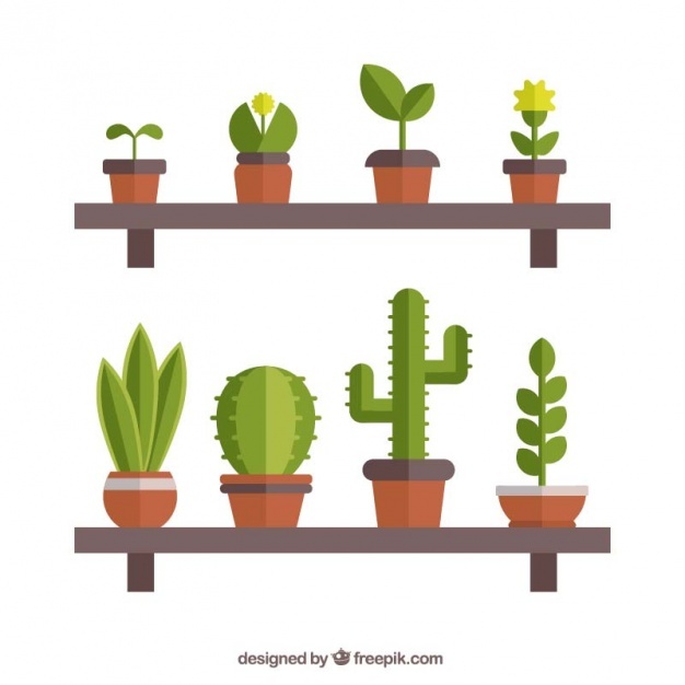 626x626 Potted Vectors, Photos And Free Download