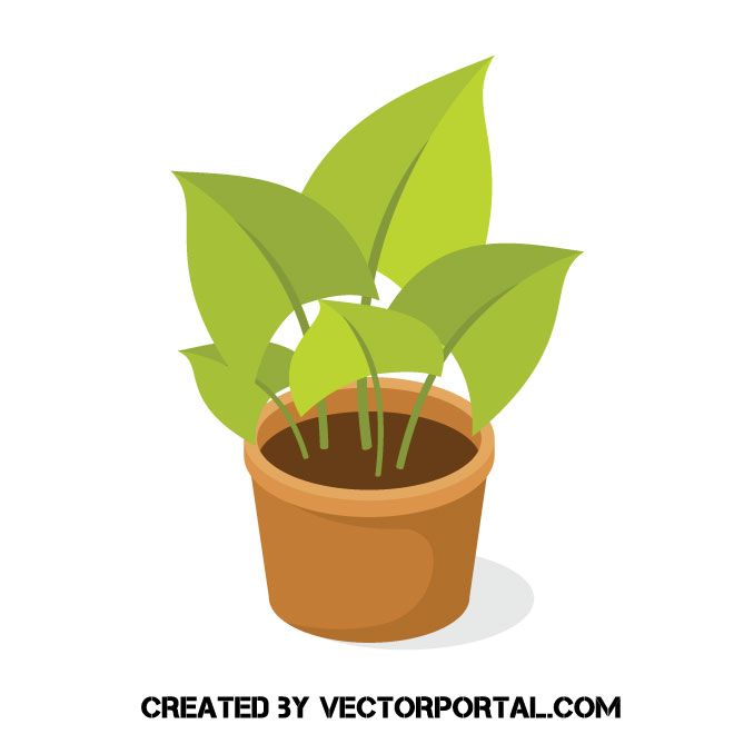 660x660 Potted Plant Vector Image Floral Vectors Plant Vector, Vector