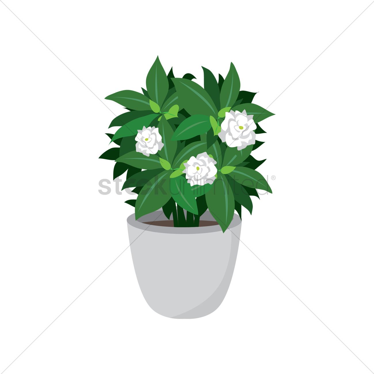 1300x1300 Decorative Potted Plant Vector Image
