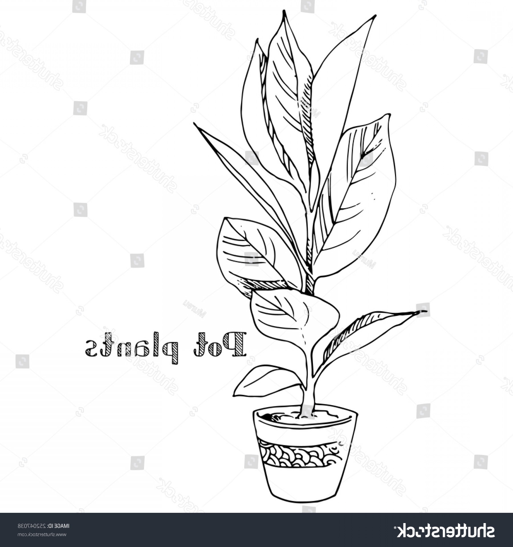 1800x1920 Shutterstock Pot Plants Vector Illustration Potted Cqrecords