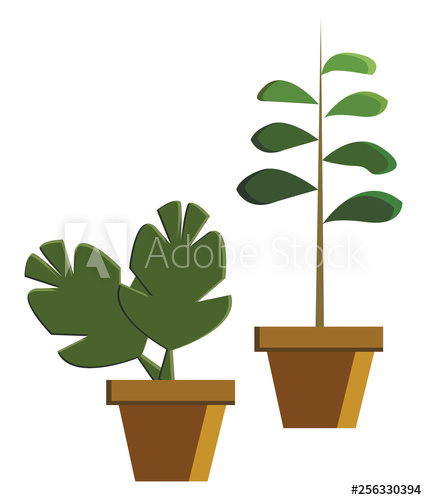 427x500 Two Potted Plant Vector Or Color Illustration