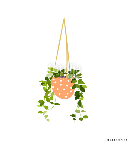 452x500 Hanging Pot Plant Vector Illustration Stock Image And Royalty