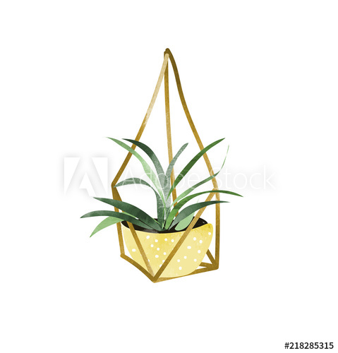 479x500 Hanging Pot Plant Vector Watercolor Illustration Doodles
