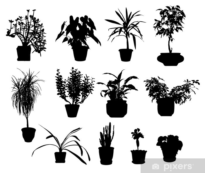 700x591 Silhouette Of Different Potted Plants Vector Wall Mural Pixers