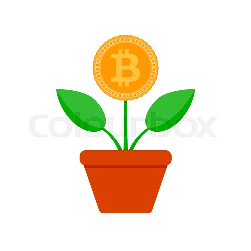 800x800 Growth Bit Coin Crypto Potted Plant Stock Vector Colourbox