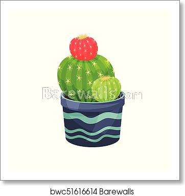 362x382 Gymnocalycium Mihanovichii Friedrichii Cactus, Green Potted Plant