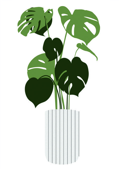 474x676 Interior Potted Plants Vector For Architecture