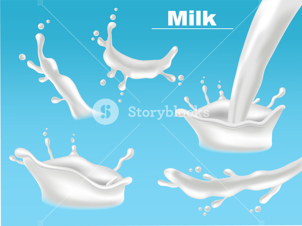 1000x751 Milk Splash Set Collection Vector Realistic Fresh Pouring Liquid