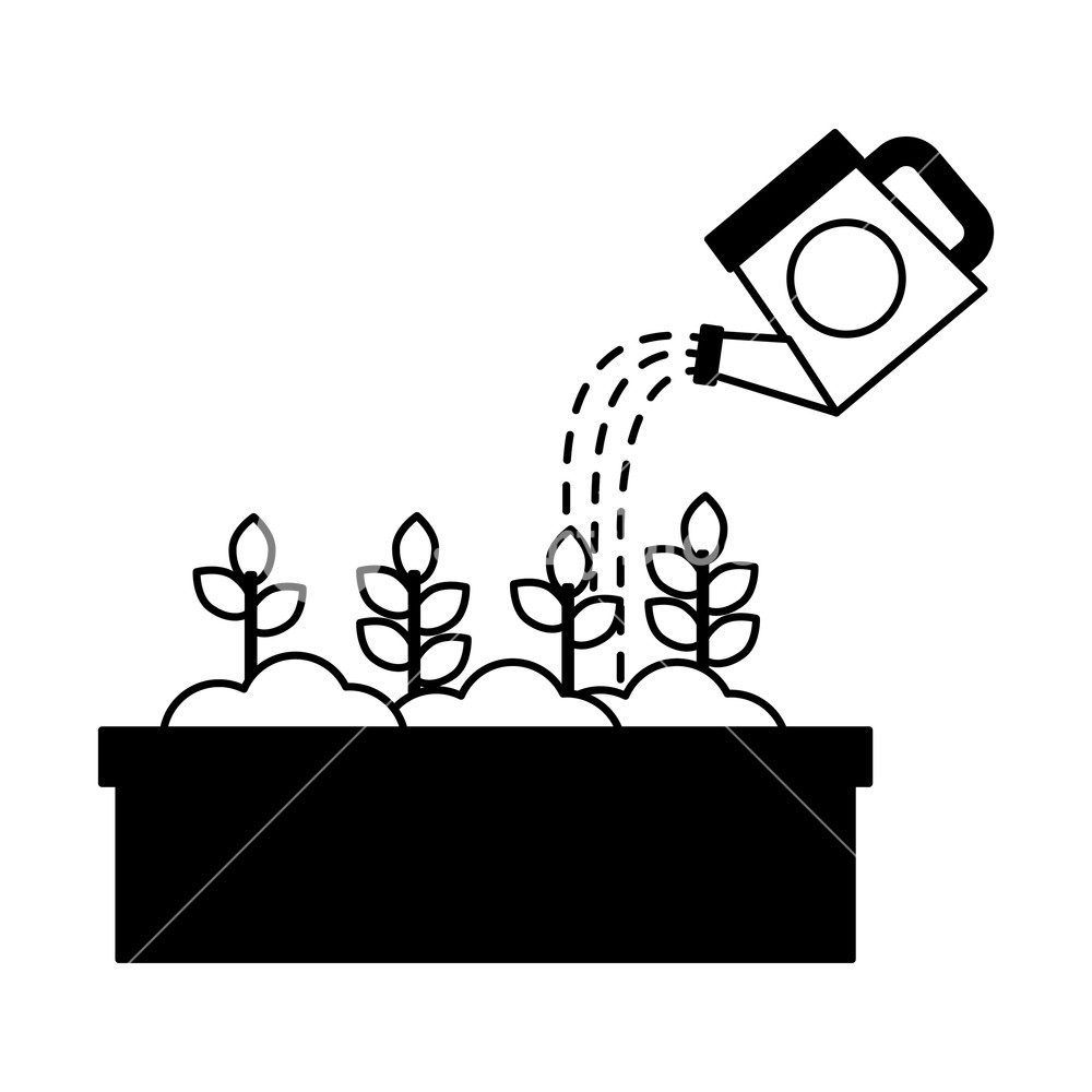 1000x1000 Watering Can Pouring Water Flowers In Pot Vector Illustration