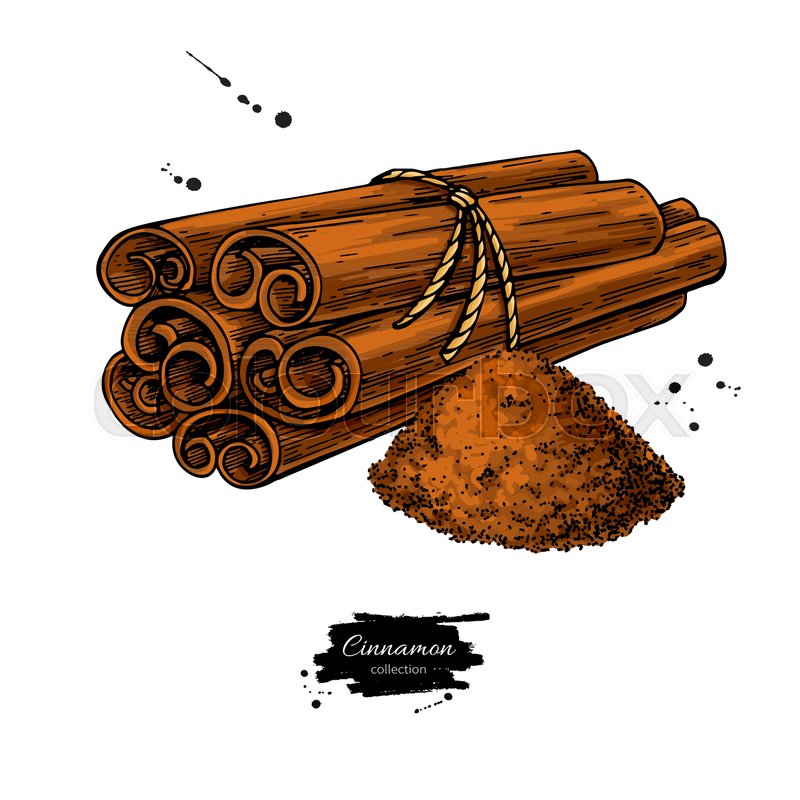 800x800 Cinnamon Stick Tied Bunch And Powder Stock Vector Colourbox