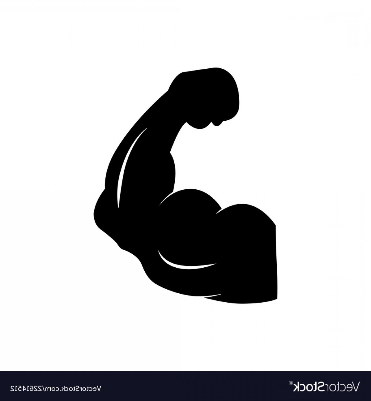 1200x1296 Strong Icon Vector Catamart