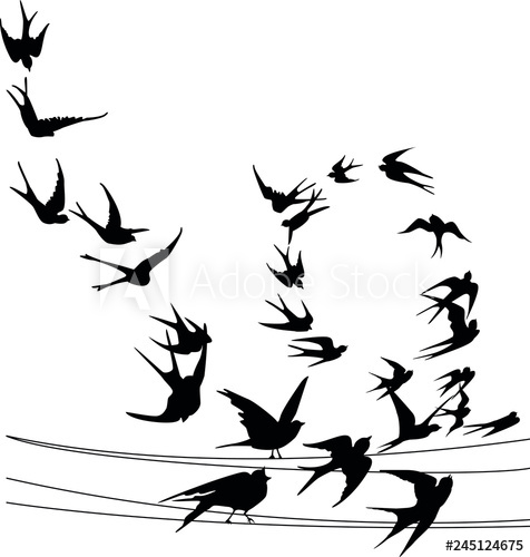 Swallow In Flight Vector Image Spring Common Birds On The Power 476x500 Swallow In Flight Vector Image Spring Common Birds On The Power