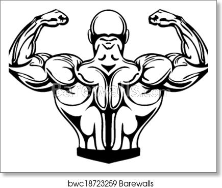 435x370 Bodybuilding And Powerlifting