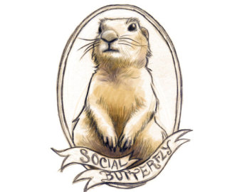 Prairie Dog 340x270 Prairie Dog