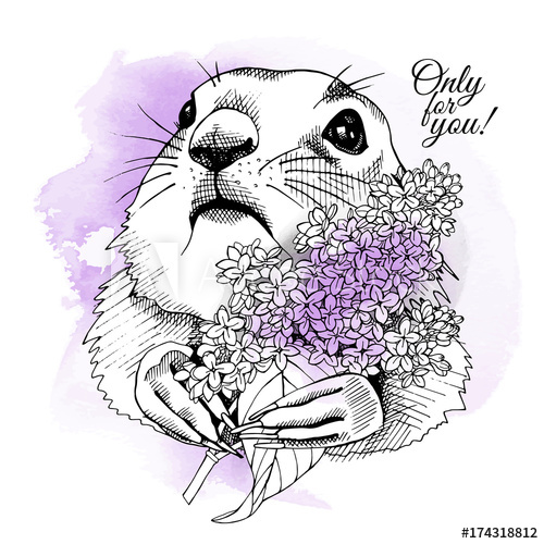 Prairie Dog Portrait With Bright Flowers Lilac On A Violet 500x500 Prairie Dog Portrait With Bright Flowers Lilac On A Violet