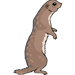 Prairie Dog Clipart, Cliparts Of Prairie Dog Free Download 300x300 Prairie Dog Clipart, Cliparts Of Prairie Dog Free Download