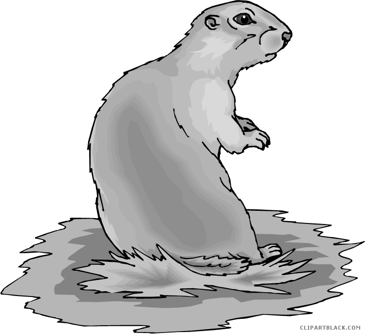 Prairie Dog Library Stock Png Files, Free Clip Art Download 750x686 Prairie Dog Library Stock Png Files, Free Clip Art Download