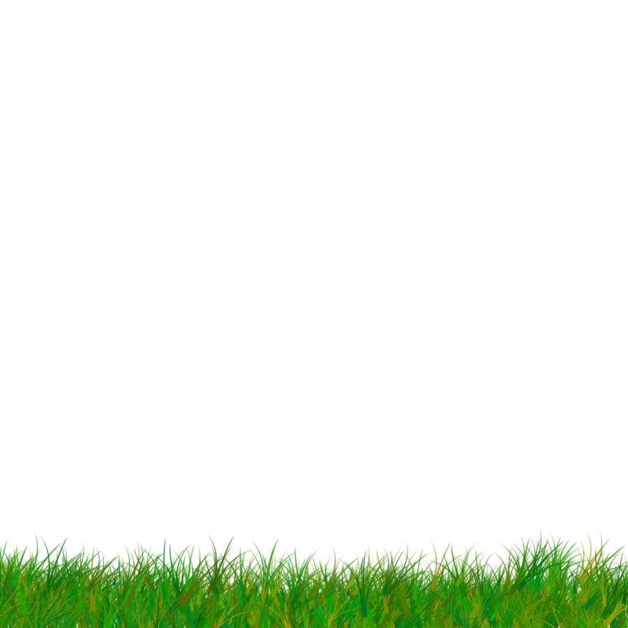 900x900 Free Collection Of Grass Vector Png Download Transparent Clip