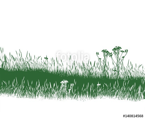 500x410 Grass Meadow Stock Image And Royalty Free Vector On Fotolia