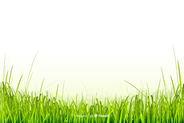 626x417 Green Grass Border Realistic Design Vector Free Download