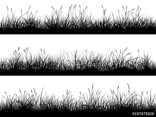500x375 Horizontal Banners Of Meadow Silhouettes With High Grass Stock