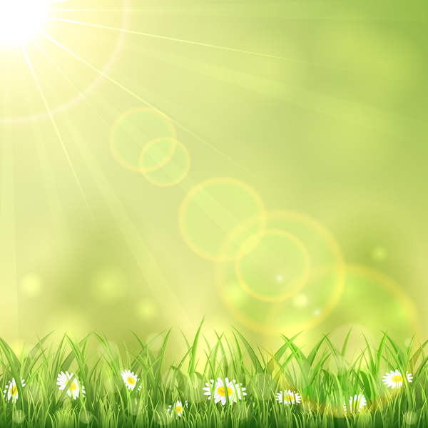 600x600 Nature Background With White Flower And Grass Vector Free Download