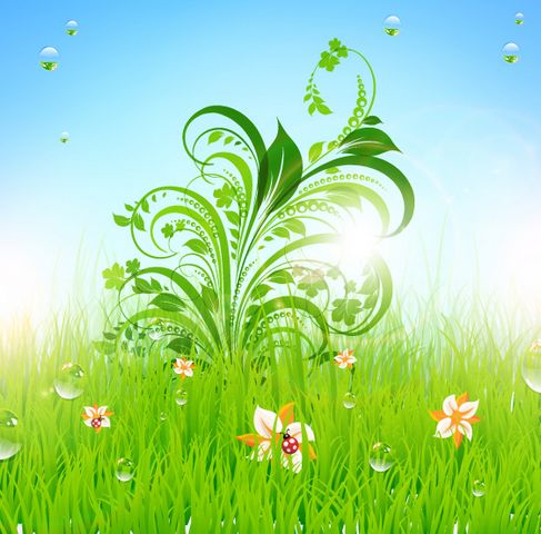 487x480 Patterns Of Green Grass Vector Hubpic