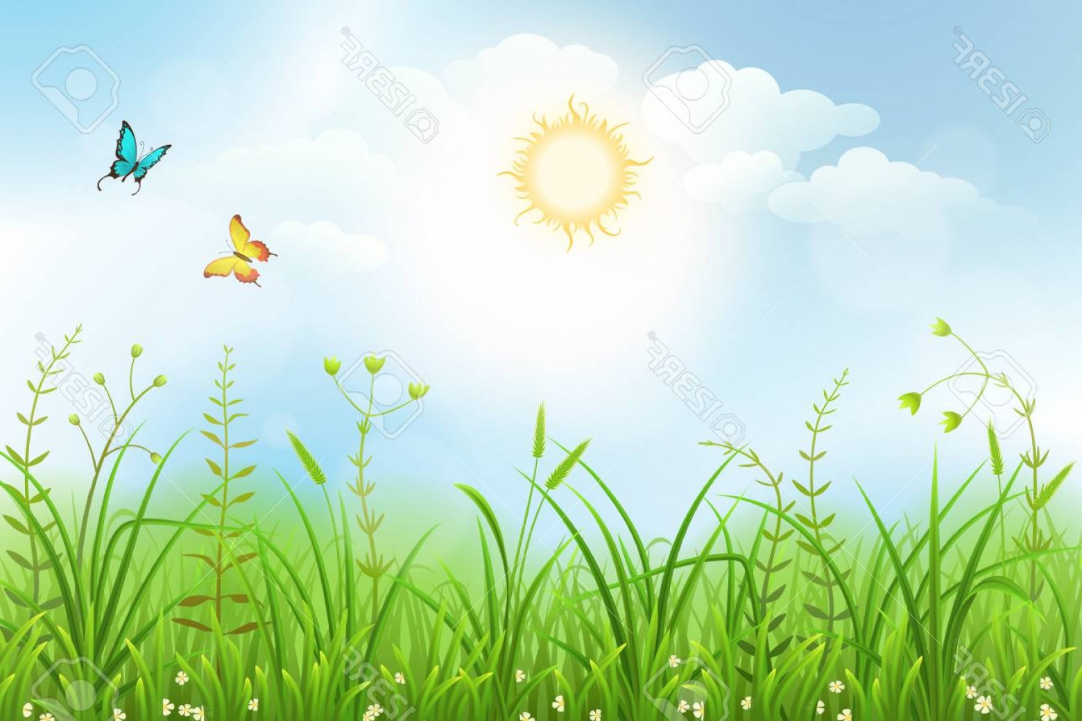 1560x1039 Photostock Vector Spring Meadow Background With White Flowers