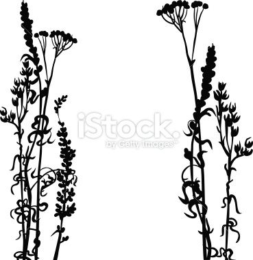 369x380 Silhouettes Of Flowers And Grass, Vector Illustration