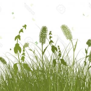 300x300 Vector Meadow Grass Seamless Texture Background In A Cartoon Style