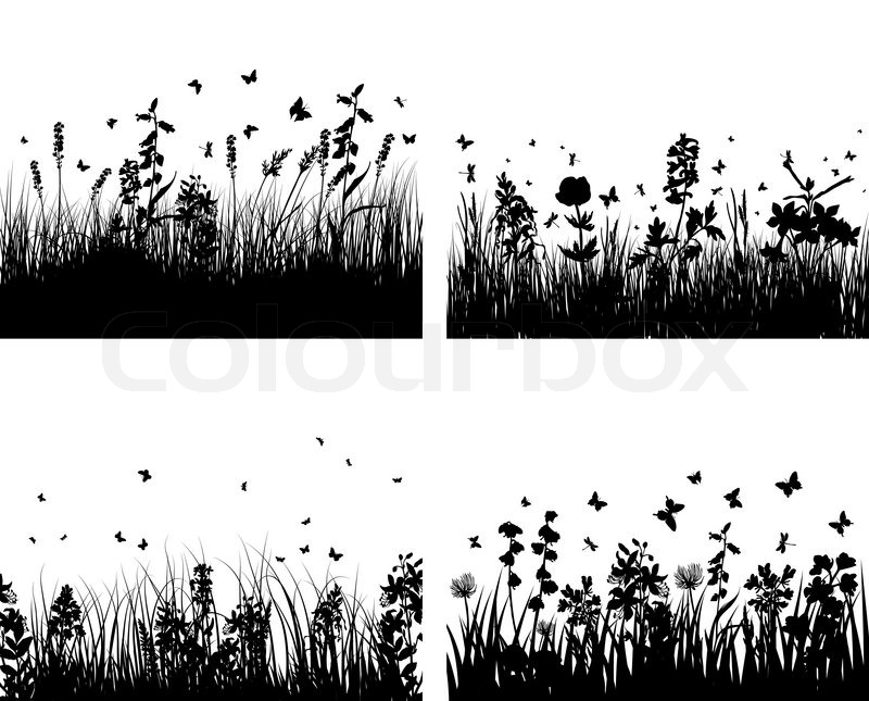 800x645 Vector Grass Silhouettes Background Stock Vector Colourbox