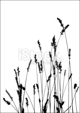 Prairie Grass Vector at Vectorified.com | Collection of Prairie Grass ...