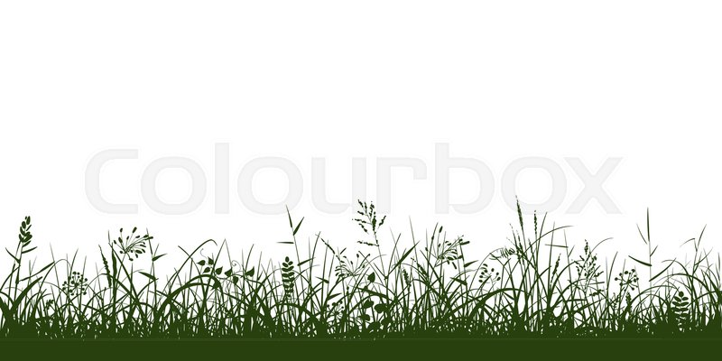 800x400 Dark Green Silhouettes Of Grass, Stock Vector Colourbox