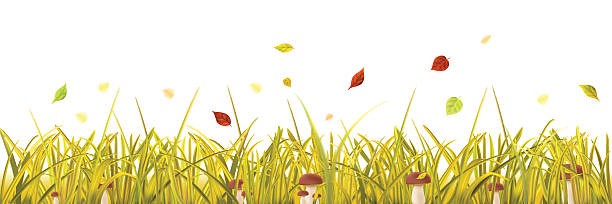 612x204 Fall Grass Clipart