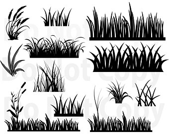 340x270 Field Of Grass Etsy