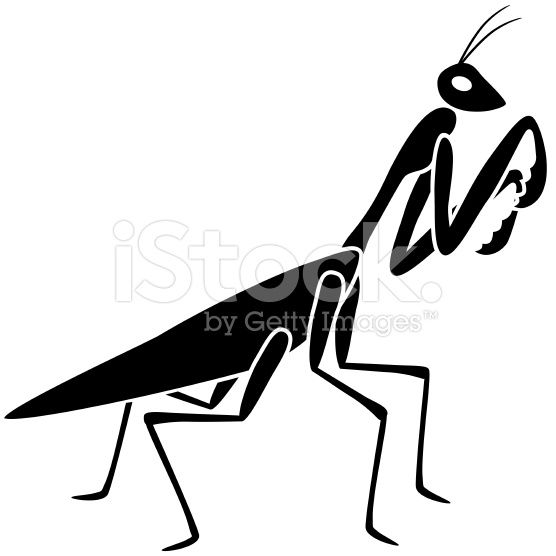 Praying Mantis Vector