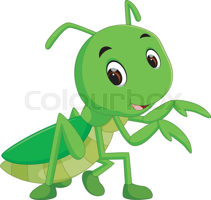 Illustration Of Praying Mantis Cartoon Stock Vector Colourbox 800x759 Illustration Of Praying Mantis Cartoon Stock Vector Colourbox