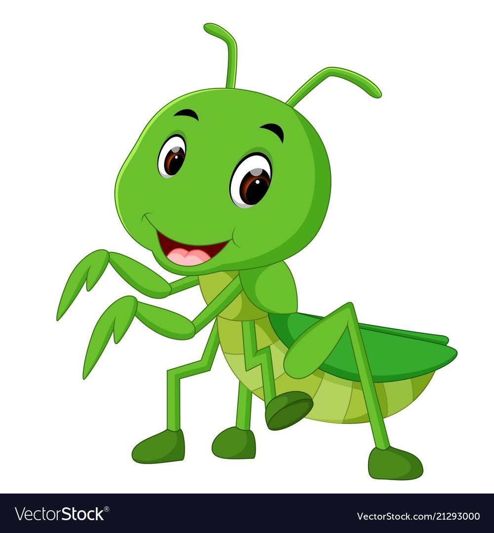 Sery Vector Free, Cartoon, Praying Mantis 1000x1080 Sery Vector Free, Cartoon, Praying Mantis