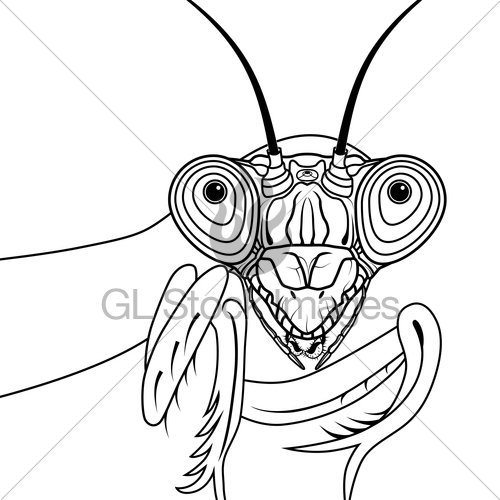 Portrait Of Green Praying Mantis Vector Illustration Tatt Gl 500x500 Portrait Of Green Praying Mantis Vector Illustration Tatt Gl