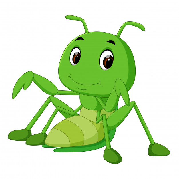 Praying Mantis Cartoon Vector Premium Download 626x626 Praying Mantis Cartoon Vector Premium Download