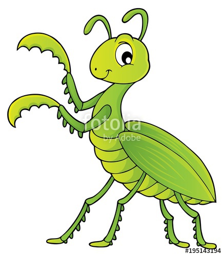 Praying Mantis Theme Image Stock Image And Royalty Free Vector 437x500 Praying Mantis Theme Image Stock Image And Royalty Free Vector