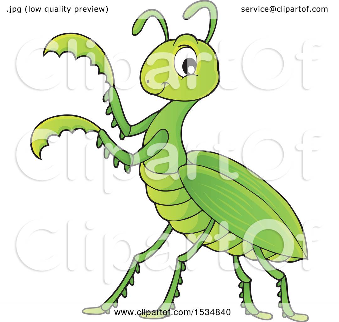 Clipart Of A Green Praying Mantis 1080x1024 Clipart Of A Green Praying Mantis