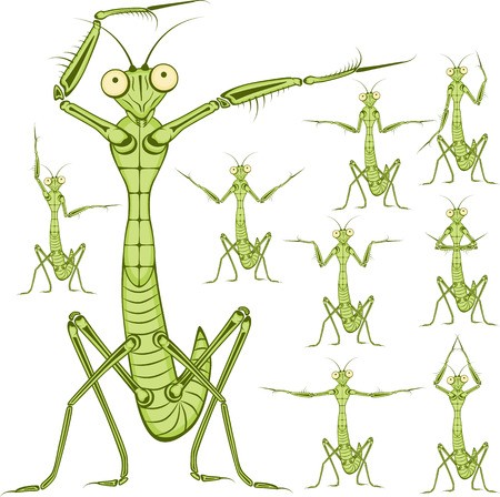 Praying Mantis Funny Vector Illustration Cartoon Character 450x448 Praying Mantis Funny Vector Illustration Cartoon Character